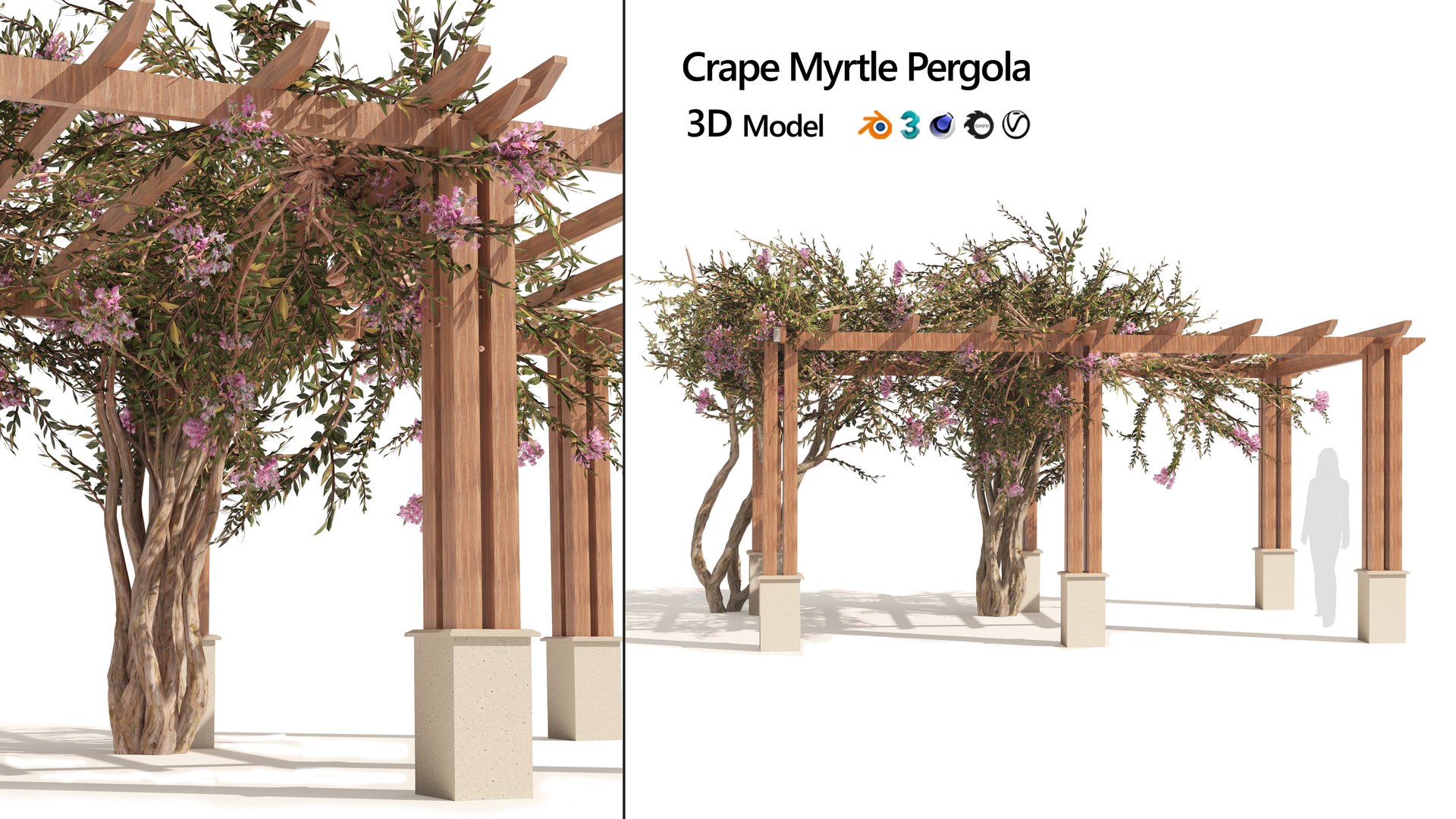 3D model crape myrtle pergola https://p.turbosquid.com/ts-thumb/Or/Yhm60j/7c/artcover/jpg/1662427431/1920x1080/fit_q87/f41b04bf00e75f112458f67878e19677def9e675/artcover.jpg