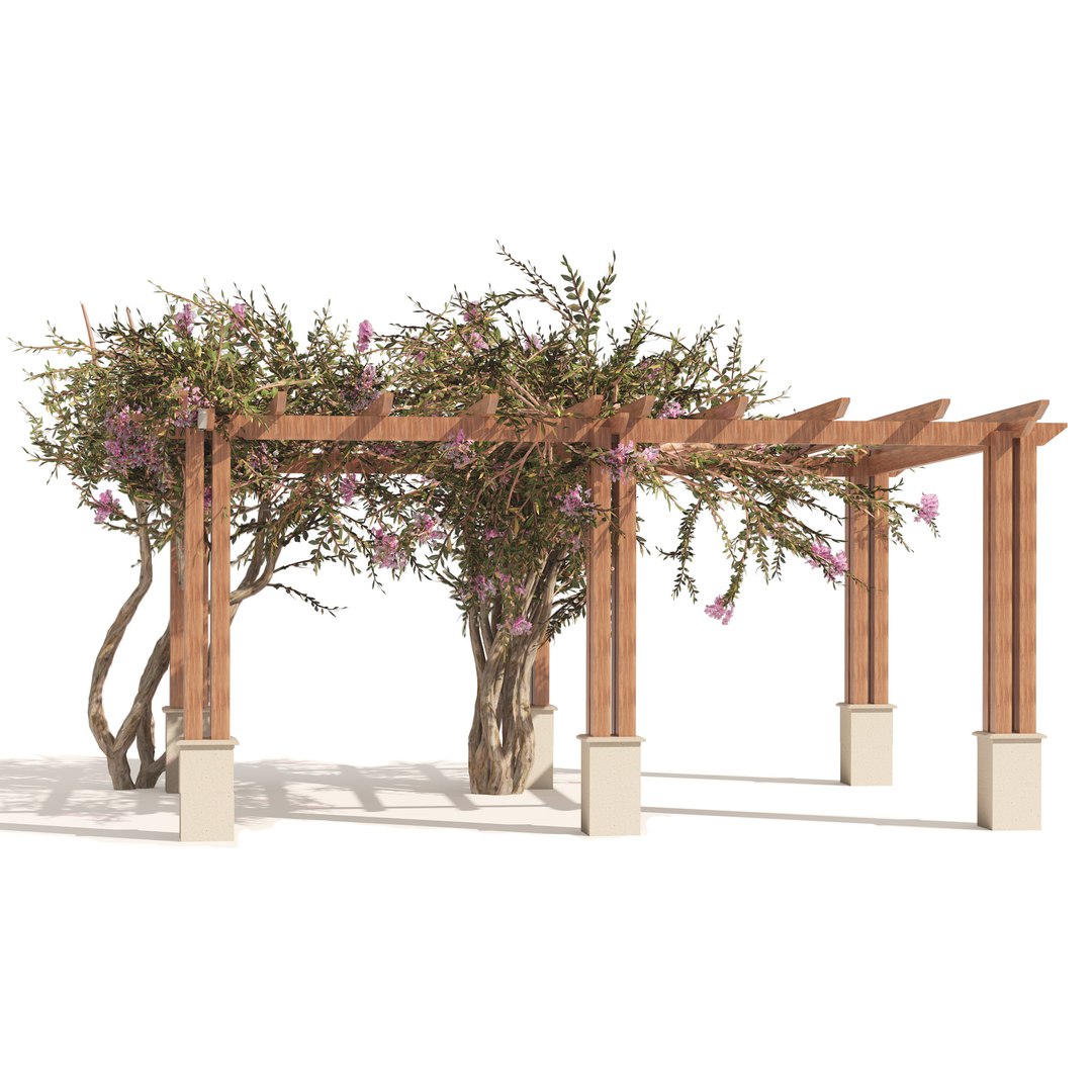 3D model crape myrtle pergola https://p.turbosquid.com/ts-thumb/Or/Yhm60j/G2/01pp/jpg/1662427427/1920x1080/fit_q87/9c52aefcd9cb93f04cb964ae96cace92be4939a0/01pp.jpg