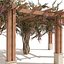 crape myrtle pergola