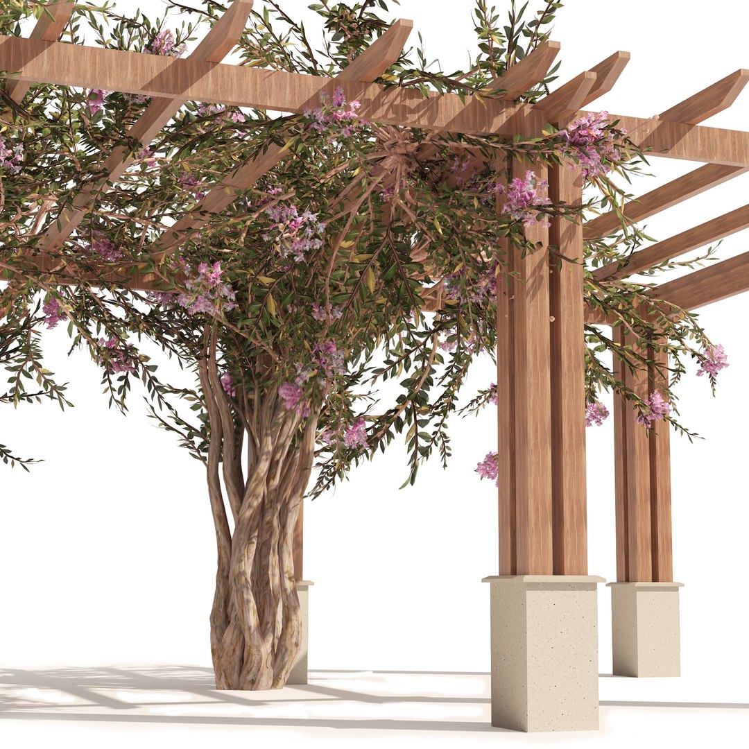 3D model crape myrtle pergola https://p.turbosquid.com/ts-thumb/Or/Yhm60j/e9/06pp/jpg/1662427430/1920x1080/fit_q87/ea702200d8bd02c22fd2263d46d9c35ee177cf29/06pp.jpg
