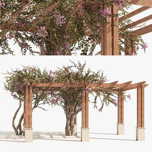 3D model crape myrtle pergola