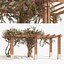 crape myrtle pergola