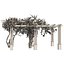 crape myrtle pergola