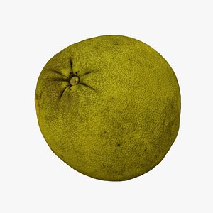 3D Pomelo Citrus maxima - Extreme Definition 3D Scanned