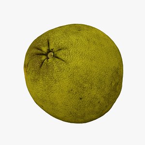 Pomelo Citrus maxima - Extreme Definition 3D Scanned