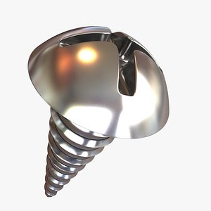 Round Head Screw