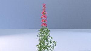 flower plant(1) 3D model