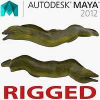 Murena Rigged for Maya