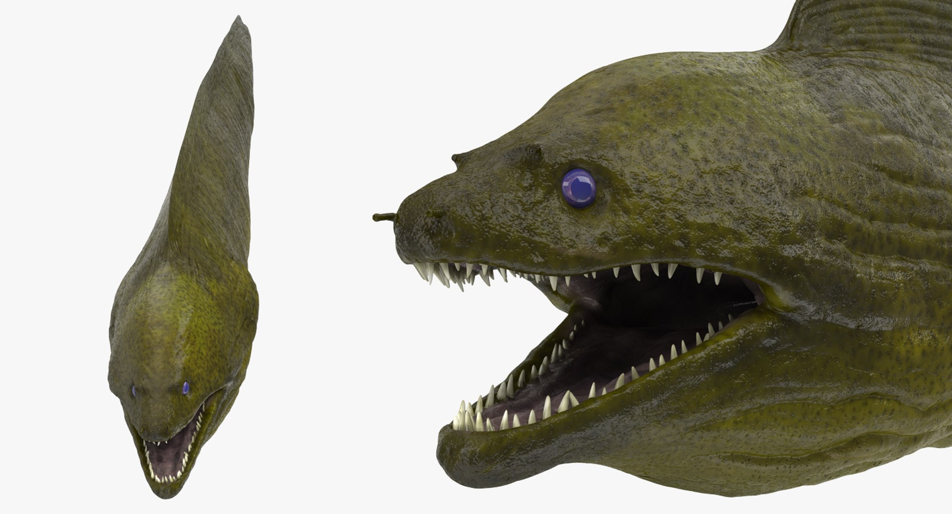 3d Model Murena Rigged