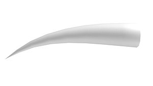 3D Tusk PBR