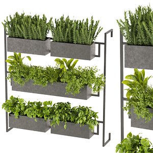 Collection plant vol 364 - box plant - rosemary - pothos - grass - 3dmodel  - blender - 3dmax - c4d 3D model
