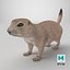 Perro de la pradera