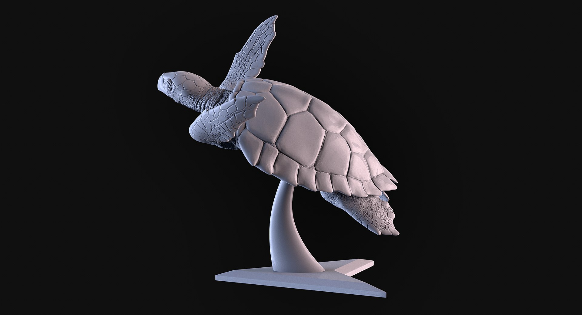 3D Turtle Model - TurboSquid 1894198