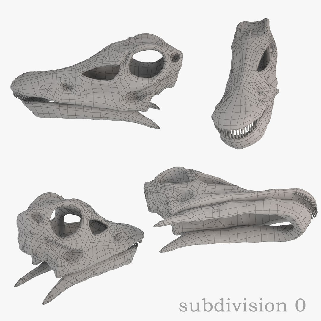 diplodocus skeleton 3D https://p.turbosquid.com/ts-thumb/Os/KOlnMB/Dwj93kPg/10/jpg/1496757828/1920x1080/fit_q87/0072ce07c66b11793331884ab04f271b493d74bb/10.jpg