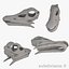Diplodocus