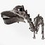 Diplodocus