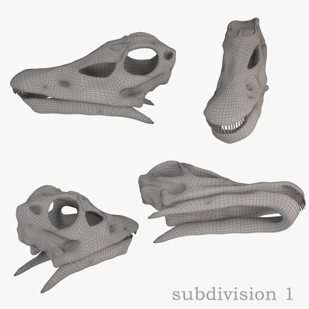 diplodocus skeleton 3D https://p.turbosquid.com/ts-thumb/Os/KOlnMB/ZuLSxiC6/11/jpg/1496757828/1920x1080/fit_q87/7148c836ac6d7980a3b75cf81214117c921d5131/11.jpg