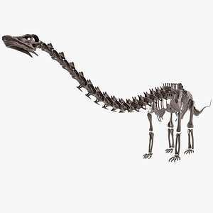 Diplodocus