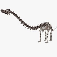 Diplodocus