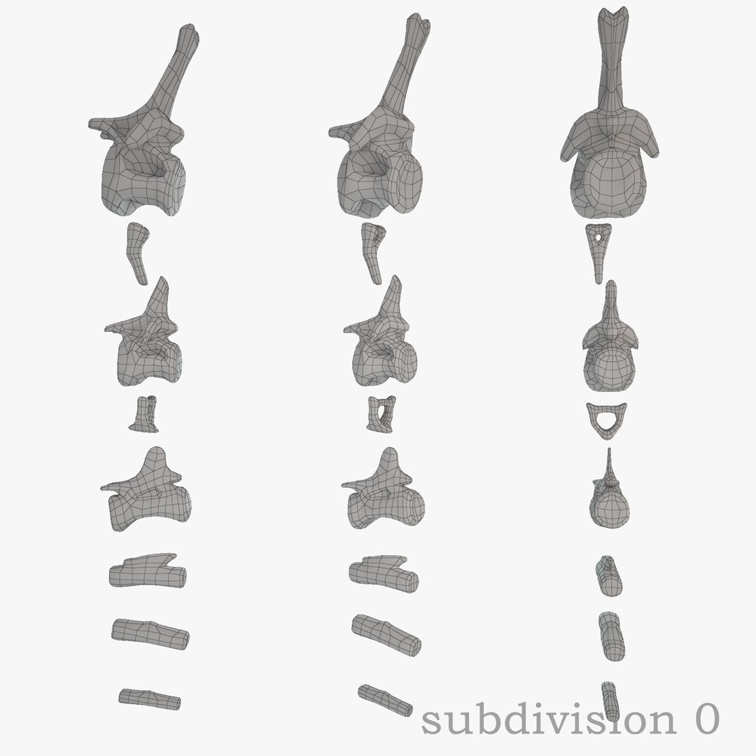 diplodocus skeleton 3D https://p.turbosquid.com/ts-thumb/Os/KOlnMB/eGkDvWW7/22/jpg/1496757828/1920x1080/fit_q87/a12000a5459ddb9a93da056aa4cd4e05cf79dc3e/22.jpg