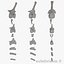 Diplodocus