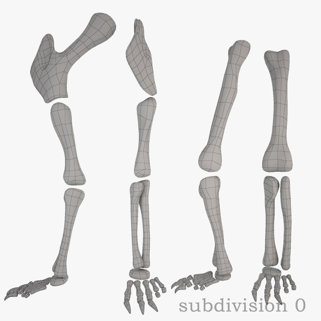diplodocus skeleton 3D https://p.turbosquid.com/ts-thumb/Os/KOlnMB/lClobBur/19/jpg/1496757828/1920x1080/fit_q87/1477f30580dec165653f9f01afe3b4b163d9238d/19.jpg