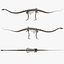 Diplodocus