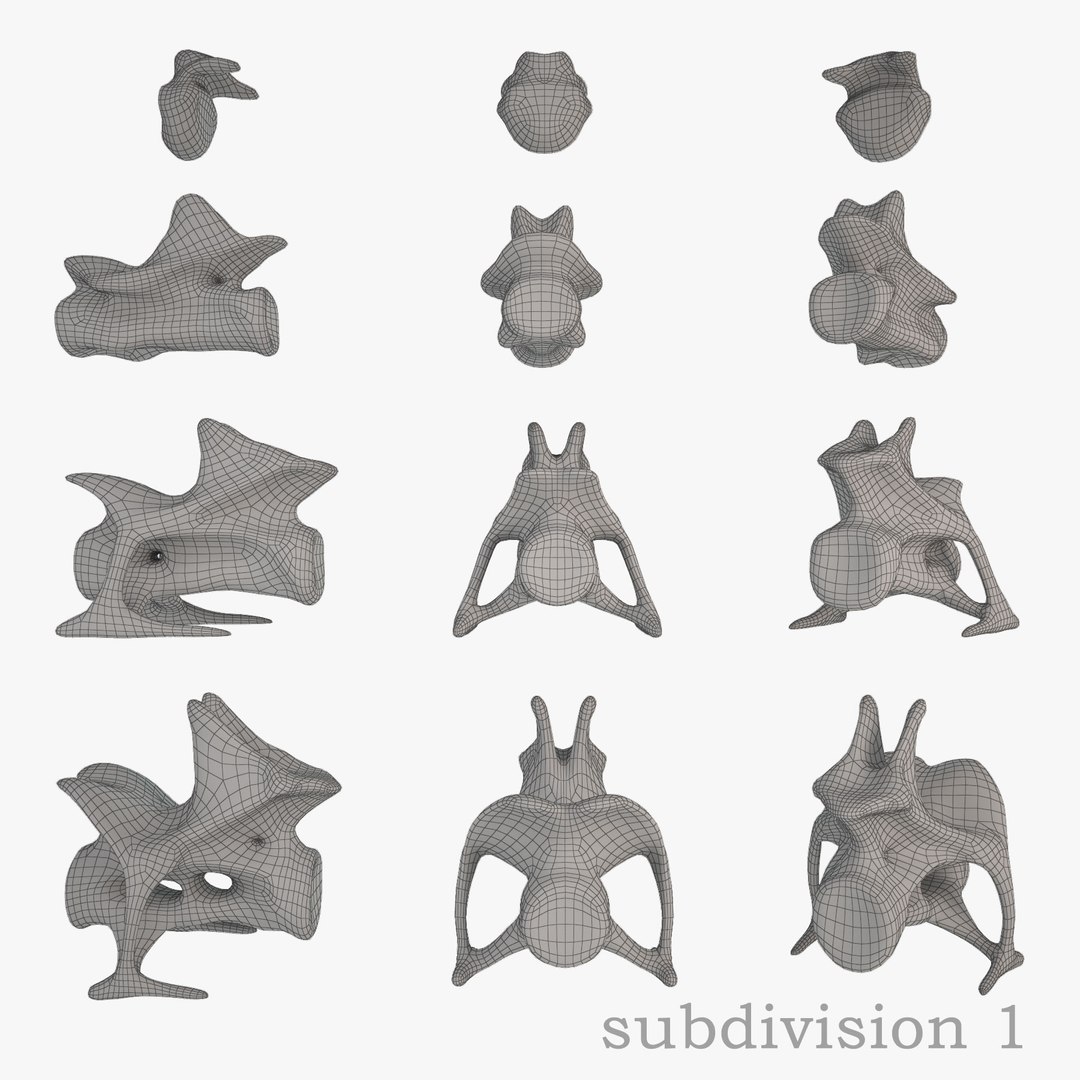 diplodocus skeleton 3D https://p.turbosquid.com/ts-thumb/Os/KOlnMB/sHoizgQf/14/jpg/1496757828/1920x1080/fit_q87/b226ddd4f7dee7b1f8242afb1328f218447ef45a/14.jpg