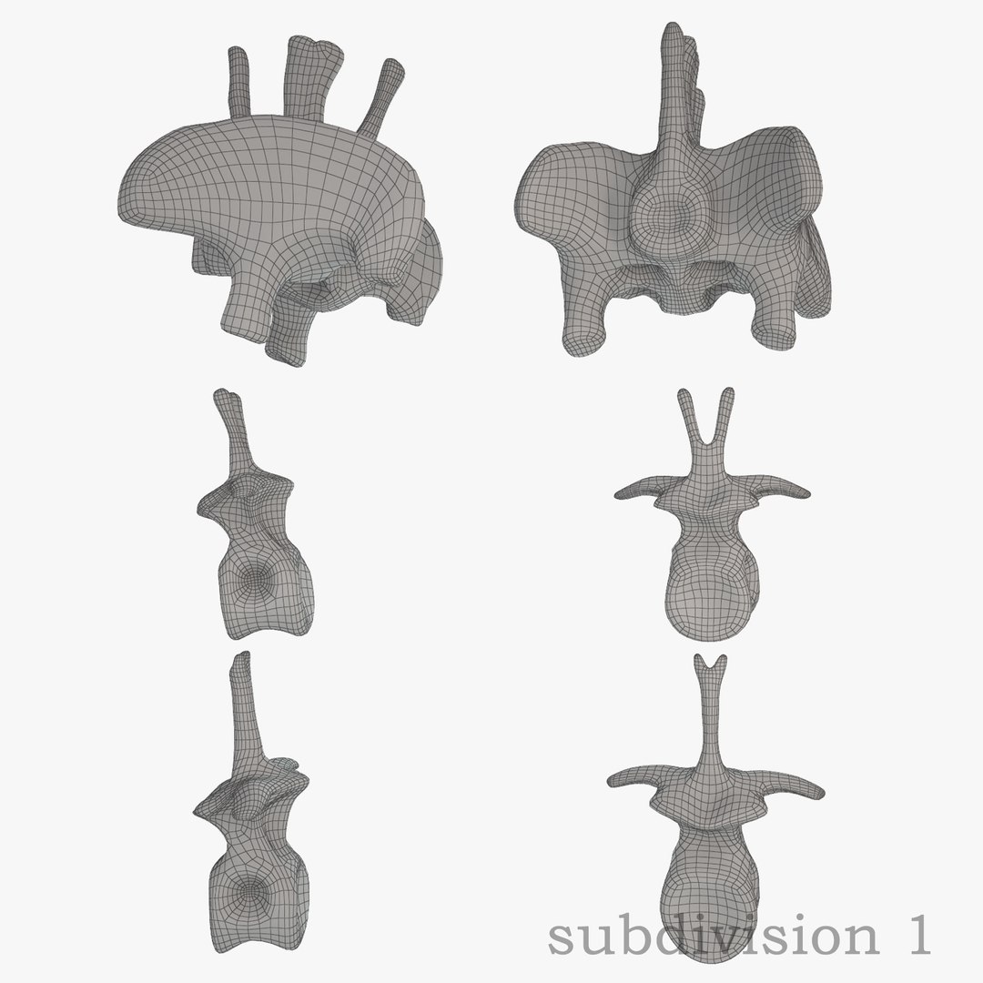 diplodocus skeleton 3D https://p.turbosquid.com/ts-thumb/Os/KOlnMB/zTs6ZR4e/17/jpg/1496757828/1920x1080/fit_q87/2d654e7bb97654c0ab6c54754df6f3affc4f614e/17.jpg