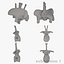 Diplodocus