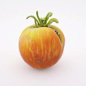 3D Orange zebra tomato