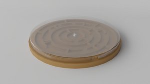 Circular Maze 3D model