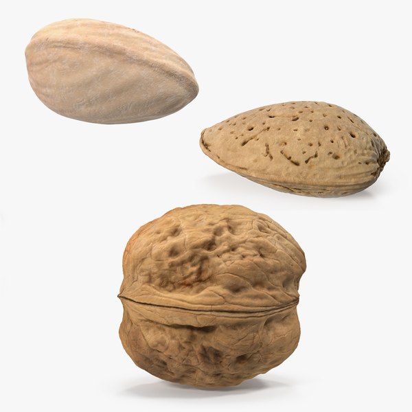 nuts 2 3D model