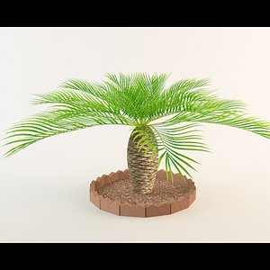 palm tree 3d max