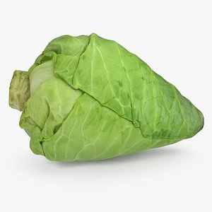 3D sweetheart cabbage