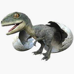 Raptor Baby Rigged