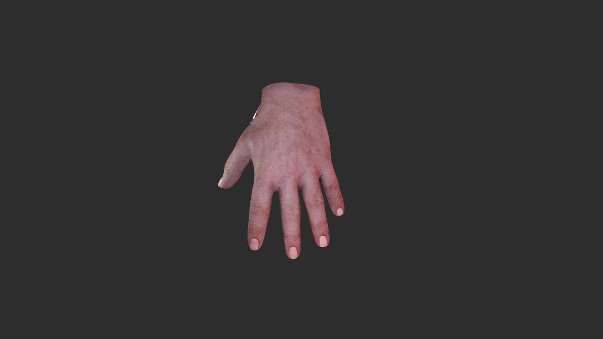 Advanced Hand Rig For Blender Model - TurboSquid 2442798