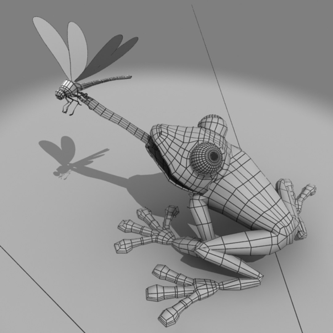 maya frog dragon fly