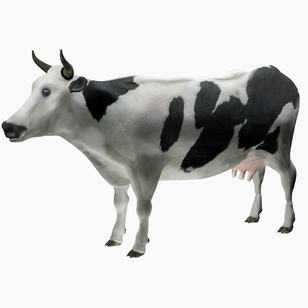 modelo 3d Modelo 3D de vaca Holstein - TurboSquid 1824708