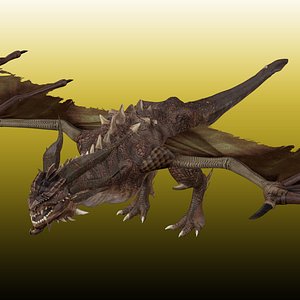 Dragon Wyvern