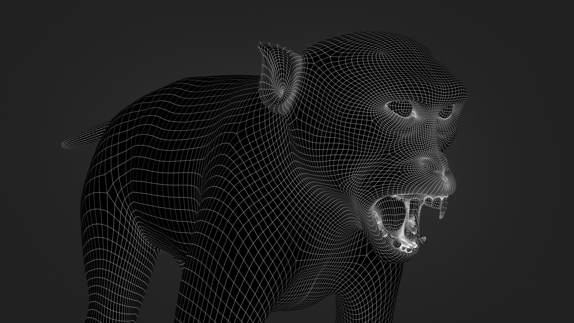 Rhesus Monkey Static Xgen-core 3D model https://p.turbosquid.com/ts-thumb/Ot/S5GclE/1j/w02/jpg/1739951532/1920x1080/fit_q87/dae0e45c5fbdc3e14ea007f01f142dafaece28b5/w02.jpg
