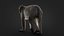 Rhesus Monkey Static Xgen-core
