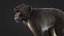 Rhesus Monkey Static Xgen-core