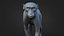 Rhesus Monkey Static Xgen-core