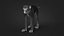 Rhesus Monkey Static Xgen-core