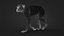 Rhesus Monkey Static Xgen-core