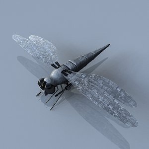 3ds max robotic dragonfly