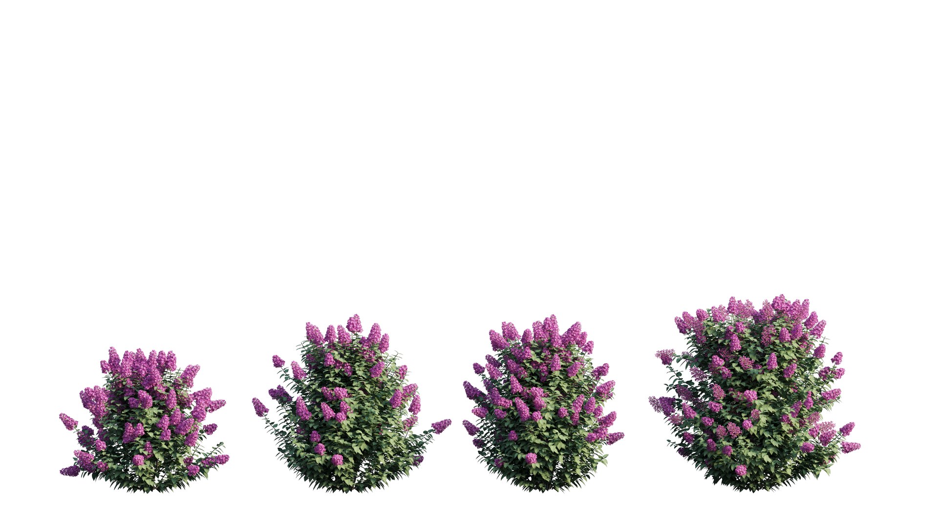 dwarf tree model https://p.turbosquid.com/ts-thumb/Ot/gBcE2S/ElluaqRT/1_interactivelightmix/png/1597652276/1920x1080/fit_q87/d4b9493b6e26806e52270cc197da2d124e149cab/1_interactivelightmix.jpg