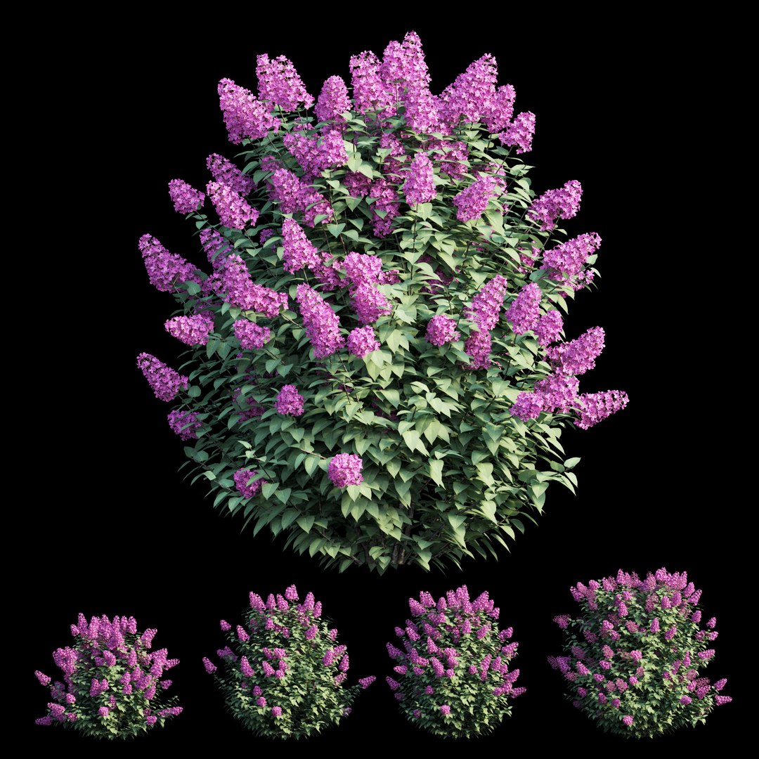 dwarf tree model https://p.turbosquid.com/ts-thumb/Ot/gBcE2S/LpC6iCDh/view02/jpg/1597652372/1920x1080/fit_q87/6c62774df7fa2f7b2feec102519687ba6d1c876a/view02.jpg