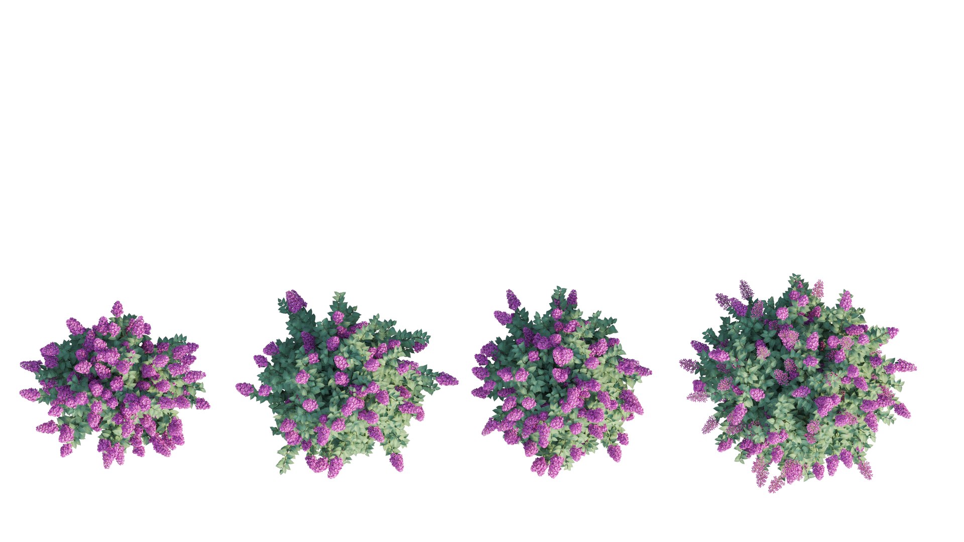 dwarf tree model https://p.turbosquid.com/ts-thumb/Ot/gBcE2S/cVbQaNOI/7_interactivelightmix/png/1597652278/1920x1080/fit_q87/b257026212fbdf77c8a220f0a1884d4435004334/7_interactivelightmix.jpg